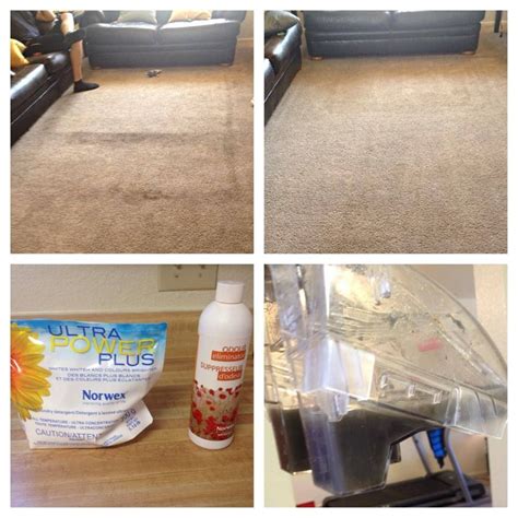 Clean Carpet With Norwex
